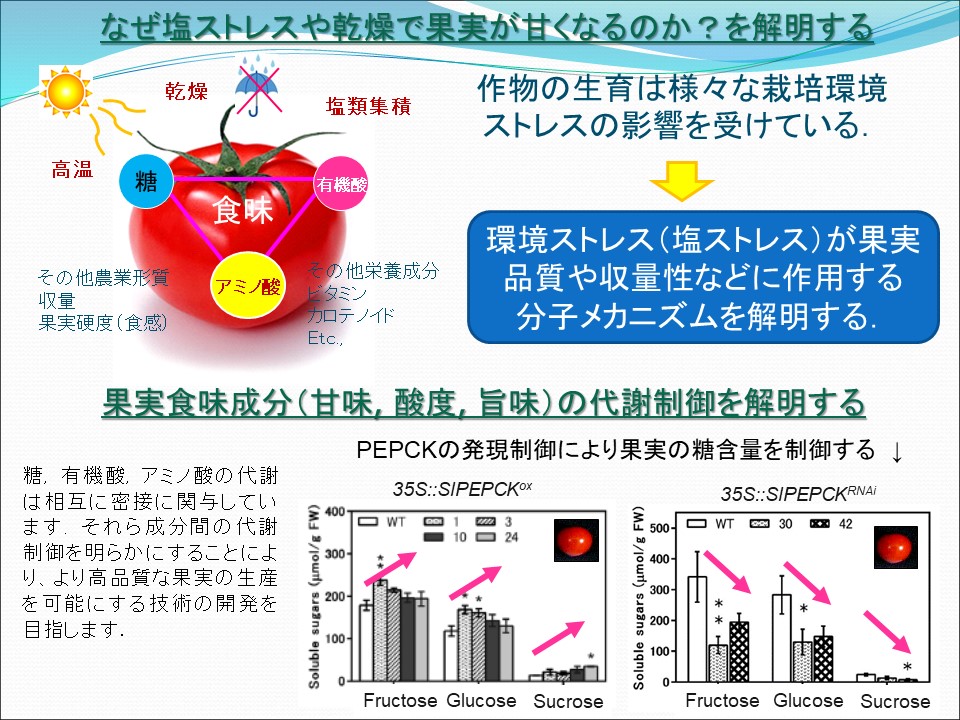 ���q_�Ȃ����ŉʎ����Â��Ȃ�̂�