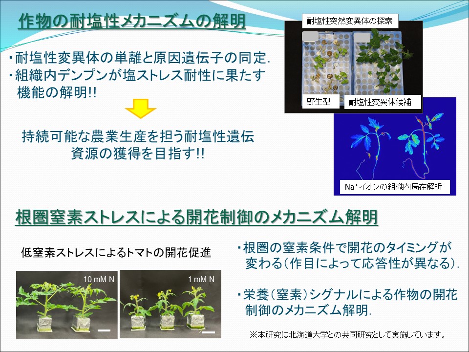 �V�K�o�C�I�X�e�B�~�������g���ނ̌��ʂ̌���