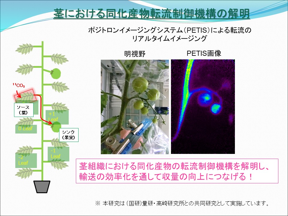 ���q_�A�~�m�_�����~�ς���g�}�g�����